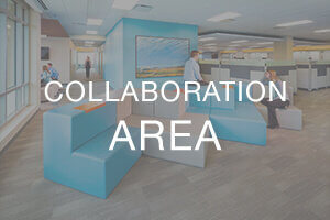 Collaboration Area