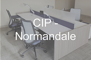CIP – Normandale
